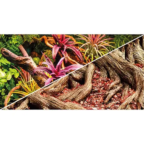 Hobby Terrariebaggrund 100x60 cm Colorful Jungle / Strangler Fig